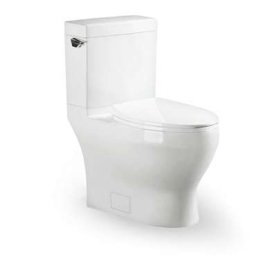 Sanitary Ware Bathroom Single Flush Toilet